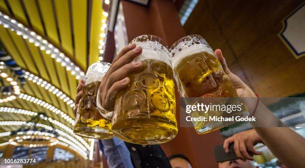 group of friends toasting with beer mugs during beer fest event, munich, germany - beer jug stock pictures, royalty-free photos & images