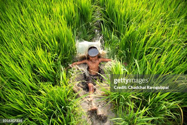 Asia Rice Water 323 Rice Water Face Stock Photos, High-Res Pictures, and Images - Getty ...