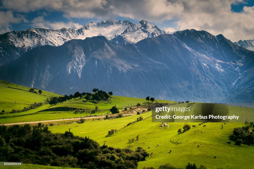 Rural scene with mountains behind, Kaikoura, Gisborne, New Zealand