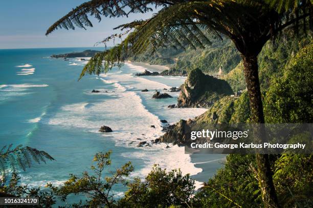 scenic view, karamea, hawkes bay, new zealand - região da baía hawkes imagens e fotografias de stock