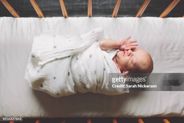 new born baby boy swaddled in cot, overhead view - babydeken stockfoto's en -beelden