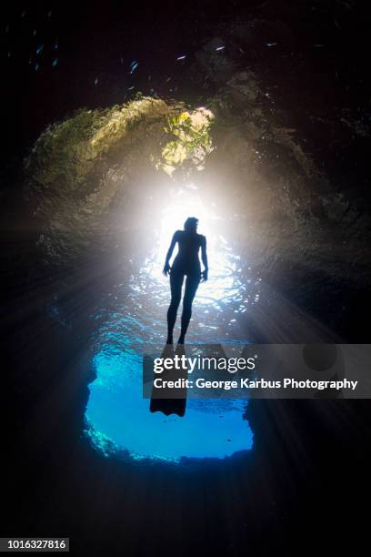 woman free-diving, low angle view, swallow cave, vavau, tonga, fiji - fiji people stock pictures, royalty-free photos & images