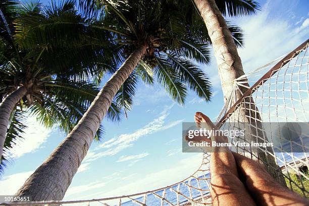 feet in hammock, seychelles - lazy day fotografías e imágenes de stock