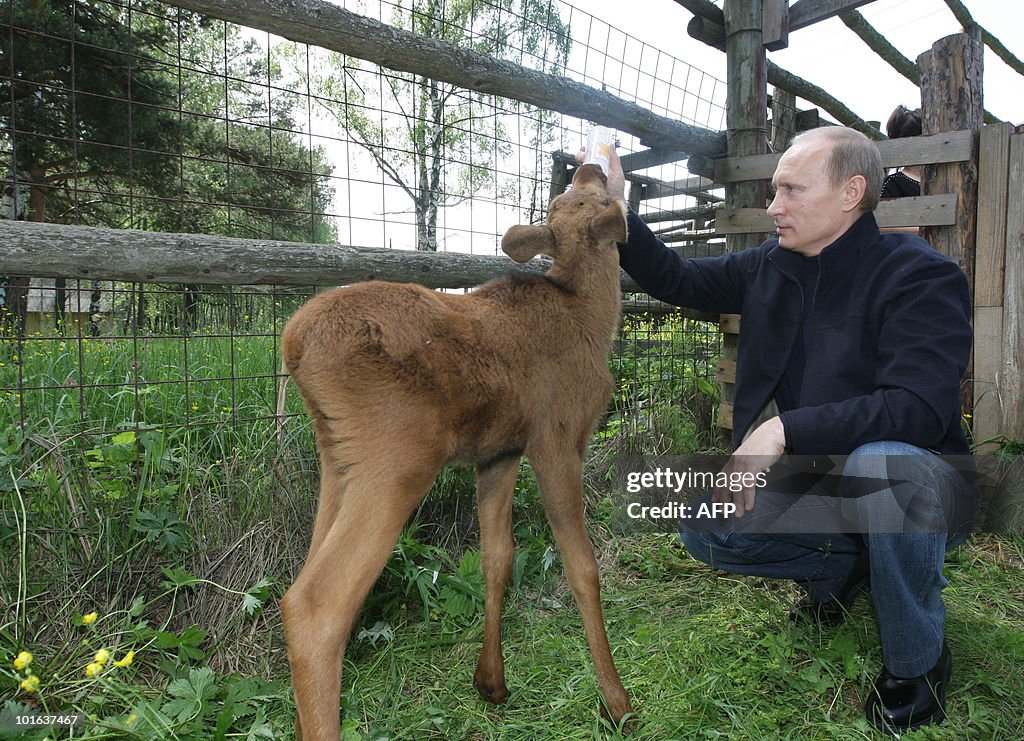 Russian Prime Ministers Vladimir Putin g