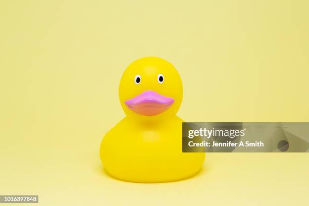 rubber ducky - rubber duck stock pictures, royalty-free photos & images