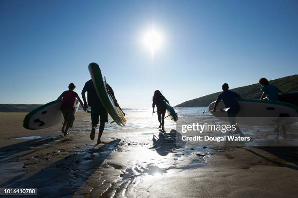 group of friends on beach going sup paddle boarding. - dougal waters 個照片及圖片檔