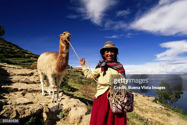 aymara indian girl with llama, bolivia - bolivia fotografías e imágenes de stock