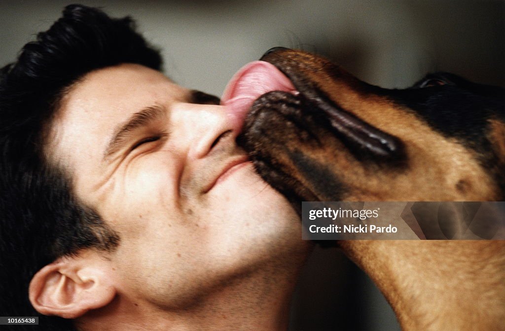 DOG LICKING MANS FACE, BOSTON, MASSACHUSETTS, USA