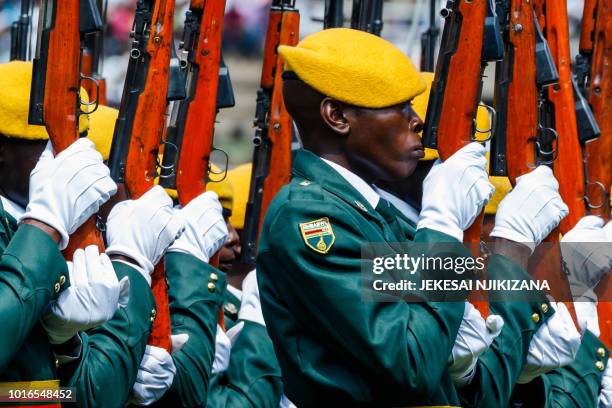 48 Zimbabwe Defence Forces Day Stock Photos, High-Res Pictures, and