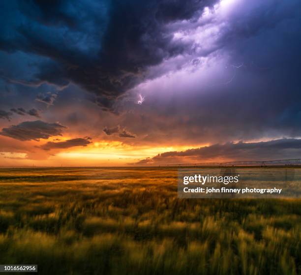 lightning and storm cloud at sunset, nebraska. usa - grandes planícies imagens e fotografias de stock