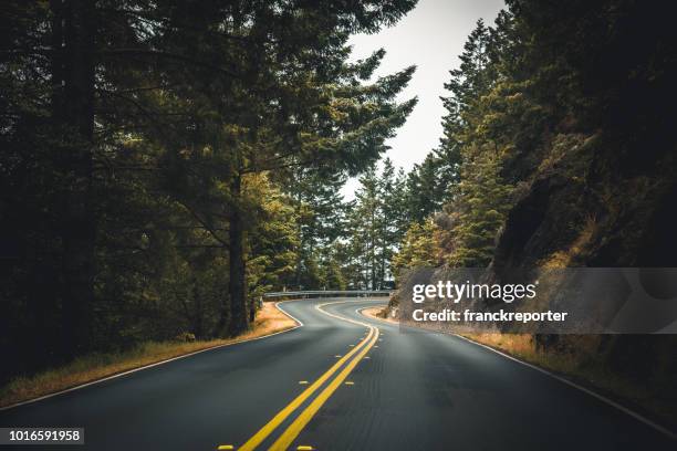 op de weg in een mistige weg in usa - oregon amerikaanse staat stockfoto's en -beelden