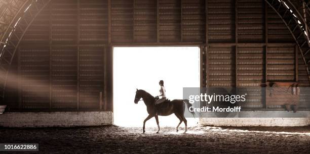 amazone die zich bezighouden met de dressuur van het paard in een hal van paardrijden - dressage stockfoto's en -beelden