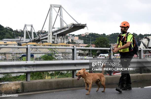 Rescuer walks with a dog near the Morandi motorway bridge after a section of the bridge collapsed earlier in Genoa on August 14, 2018. - At least 30...