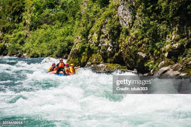 Small group of men and women white water river rafting