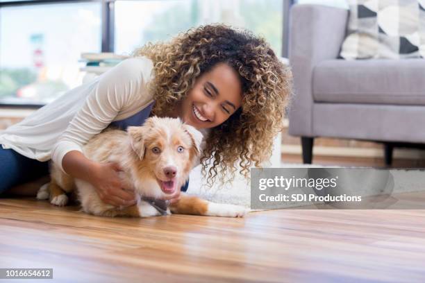 chiot de formation de jeune femme - australian shepherd photos et images de collection