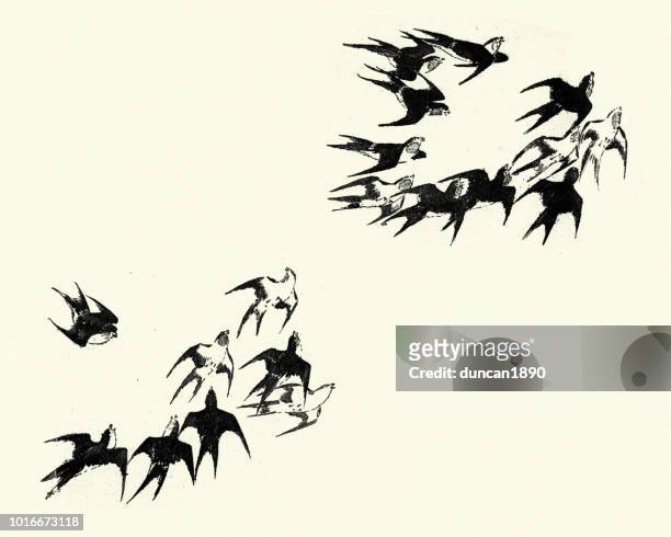 japanesse 藝術, 燕子群 - swallow bird 幅插畫檔、美工圖案、卡通及圖標