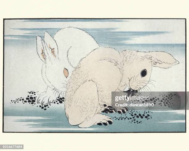 ilustraciones, imágenes clip art, dibujos animados e iconos de stock de arte de la animación japonesa, las liebres por hokusai - katsushika hokusai