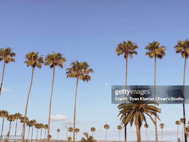 newport beach - newport beach stockfoto's en -beelden