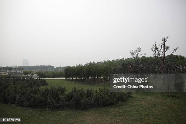 Trees and lawn planted on land reclamation area are seen at the Tanggu Coastal Economic Zone on June 6, 2010 in Tanggu of Tianjin Municipality,...