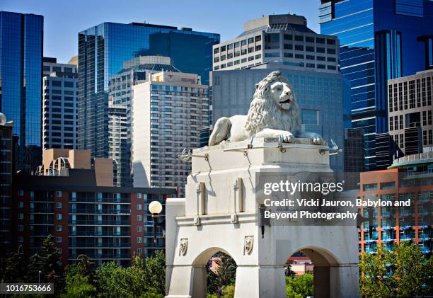 one of the lion statues on the centre street bridge, calgary, canada - calgary ストックフォトと画像