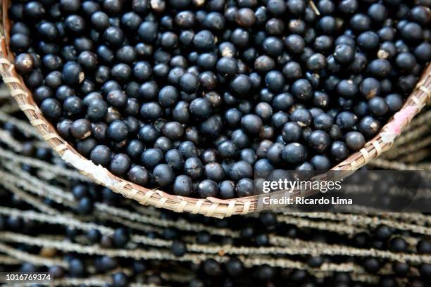 basket with acai fruit (euterpe oleracea)in amazon region, brazil - acai berries stockfoto's en -beelden