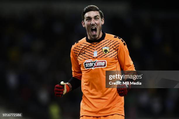 Vassilis Barkas, Goalkeeper of AEK Athens celebrates the win of his team during the UEFA Champions League, Qualifying Third Round 2nd Leg match...
