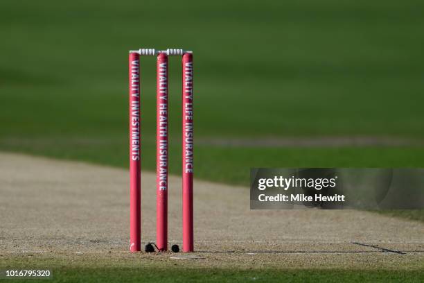 Close up image of the stumps ahead of the Vitality Blast match between Sussex and Glamorgan at The 1st Central County Ground on August 14, 2018 in...