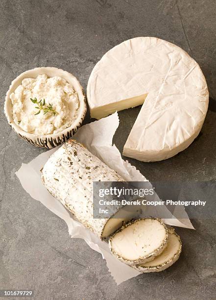 cheeses on slate - queso de cabra fotografías e imágenes de stock