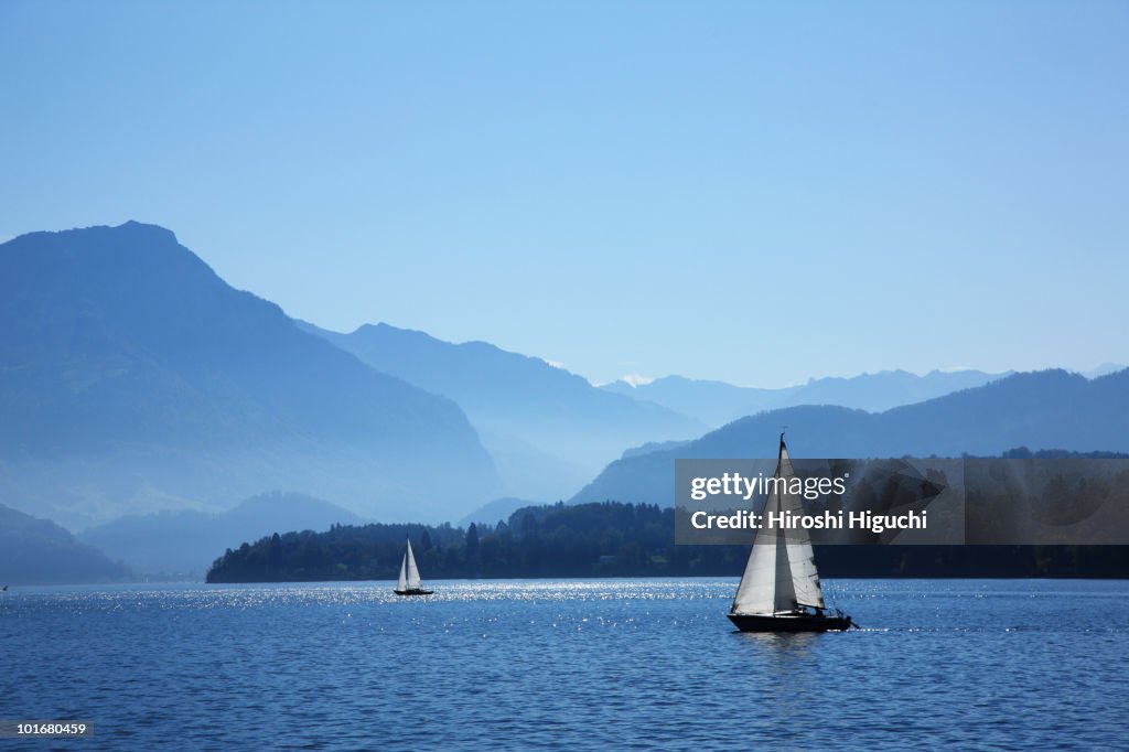 Lake side scene