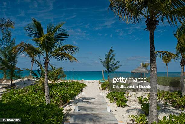 grace bay beach - providenciales stockfoto's en -beelden