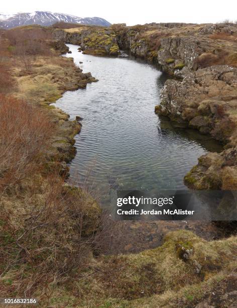 þingvellir national park (suðurland, iceland) - east africa stockfoto's en -beelden