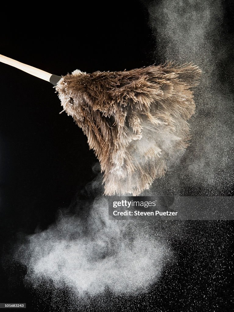 Feather duster with dust