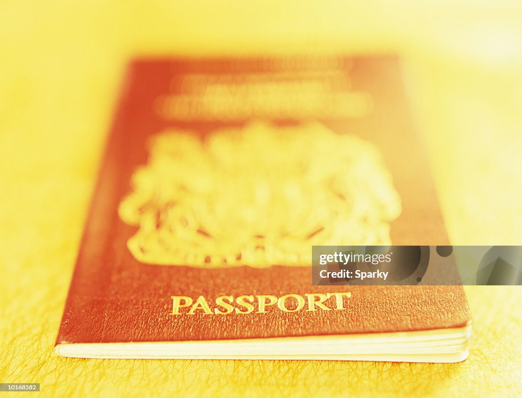 EUROPEAN PASSPORT
