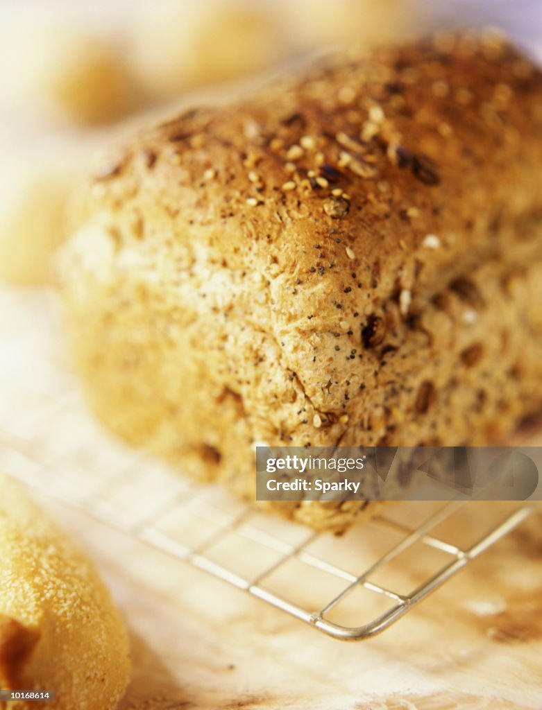 FRESHLY BAKED WHOLE GRAIN BREAD