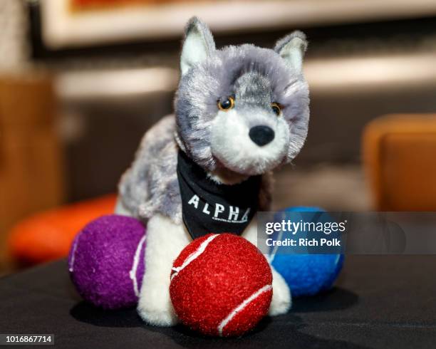 General view of the Bring Your Own Dog Screening at Westwood iPic on August 14, 2018 in Westwood, California.