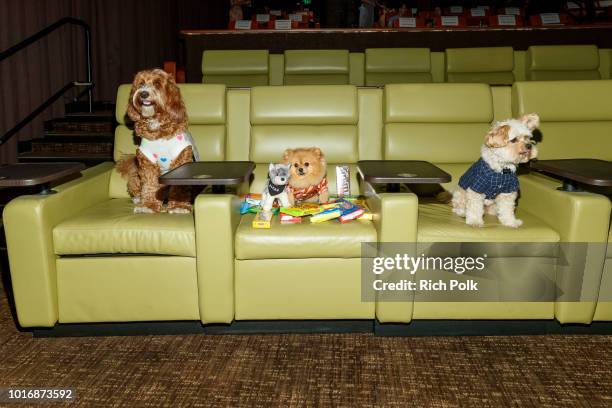 Doggie Influencers attend Bring Your Own Dog Screening at Westwood iPic on August 14, 2018 in Westwood, California.