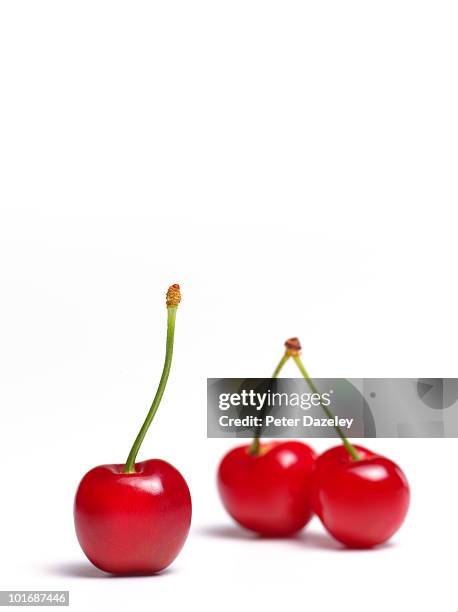 red cherries on white background - cherries stockfoto's en -beelden