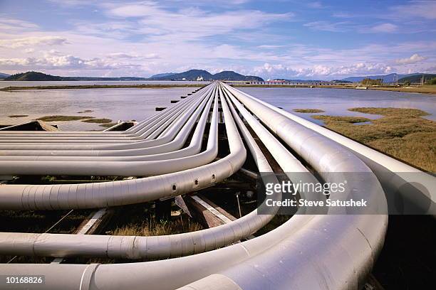 petroleum pipes and oil tanker at pier - oleodotto foto e immagini stock