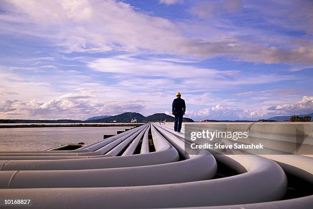 oil refinery worker on petroleum pipes - oil worker stock pictures, royalty-free photos & images