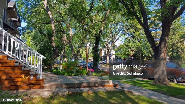 early morning in an old restored treelined neighborhood - saskatoon stock pictures, royalty-free photos & images