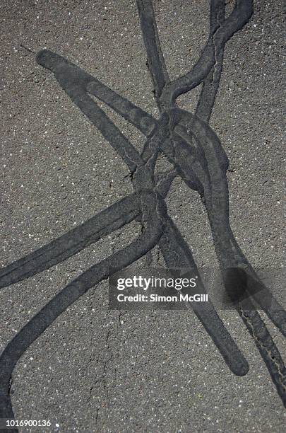 Footpath Bitumen Pavement Crack Repair Photos and Premium High Res Pictures - Getty Images