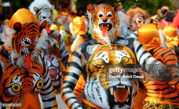 the tiger dance festival, trissur, kerala - kerala onam stock pictures, royalty-free photos & images