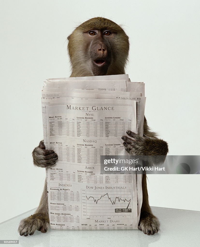 OLIVE BABOON WITH BUSINESS NEWSPAPER