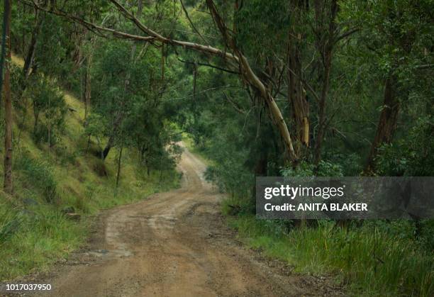 condamine country road in the hills - brisbane street stock pictures, royalty-free photos & images