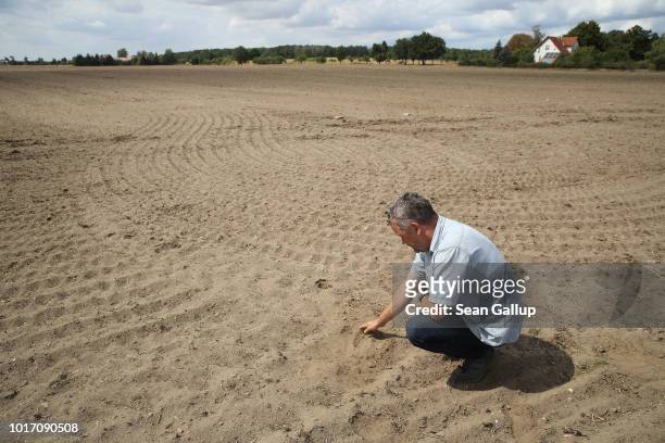 Steffen Hausmann, who works at a local farming cooperative, runs his hand through ash-like earth at a field designated for grains at Goersdorf on...