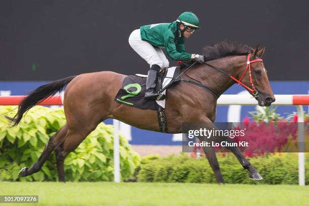 Jockey Manoel Nunes Da Silva riding Spalato wins Race 4 Singapore Airlines A380 Frankfurt Stakes during Singapore Airlines International Cup Race Day...