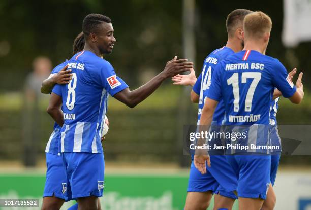 Salomon Kalou, Vedad Ibisevic and Maximilian Mittelstaedt of Hertha BSC celebrate after scoring the 3:0 during the game between Hertha BSC and...