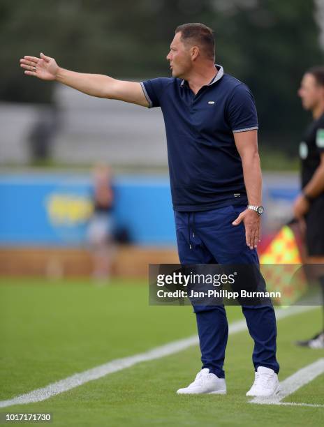Coach Pal Dardai of Hertha BSC gestures during the game between Hertha BSC and Hallescher FC at the Amateurstadion on august 15, 2018 in Berlin,...