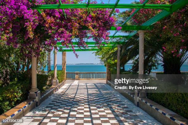view to the sea - cádiz stock pictures, royalty-free photos & images