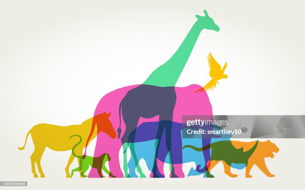 Groupe d'animaux sauvages